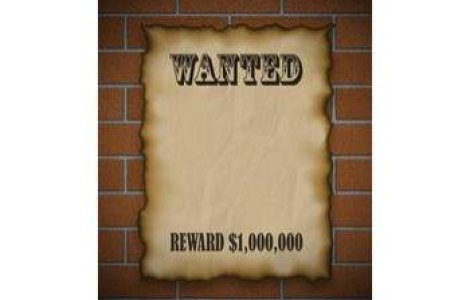 Politistii finlandezi, pe urmele infractorilor romani