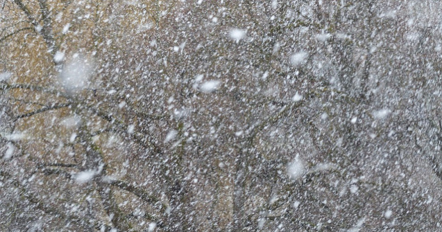 Cod GALBEN de vant si ninsori in aproape jumatate de tara