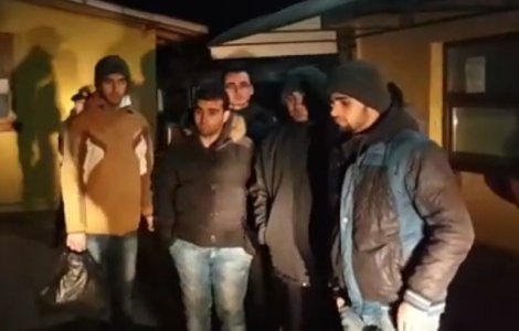 Sapte sirieni, gasiti de jandarmi intr-un canal, in apropierea unei paduri din Dambovita