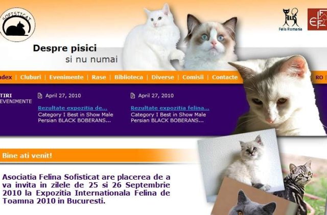 Participare record la expozitia felina de toamna SofistiCAT