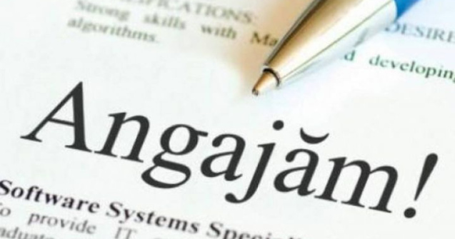 Cum influenteaza Sarbatorile piata de munca temporara