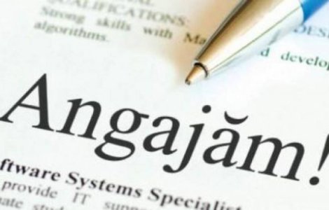 Cum influenteaza Sarbatorile piata de munca temporara