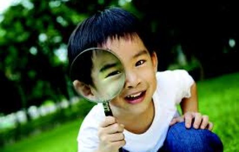  Top  Top 10 curiozitati pe care sigur nu le stii