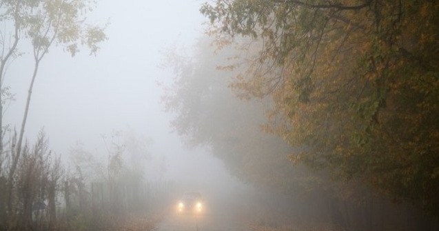  Update  Cod GALBEN de ceata. Care sunt recomandarile Politiei Rutiere