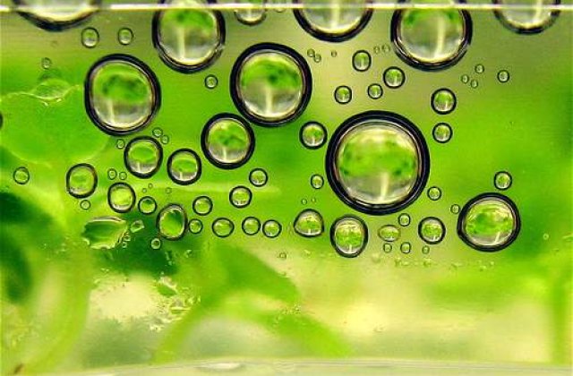 Comisia Europeana, data in judecata pentru lipsa de transparenta