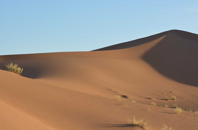 [Video] A nins in desertul Sahara, pentru prima data din 37 de ani