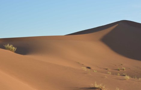  Video  A nins in desertul Sahara, pentru prima data din 37 de ani