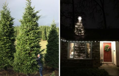 Au cumparat un brad de 6 metri. Uite cum l-au bagat in casa