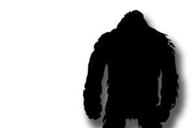 PAGINA DE ISTORIE: 'Bigfoot' a fost gasit!