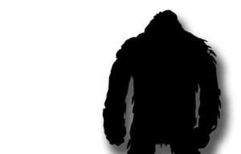 PAGINA DE ISTORIE: 'Bigfoot' a fost gasit!