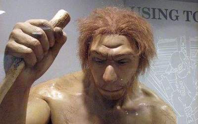 Noi descoperiri in evolutia...