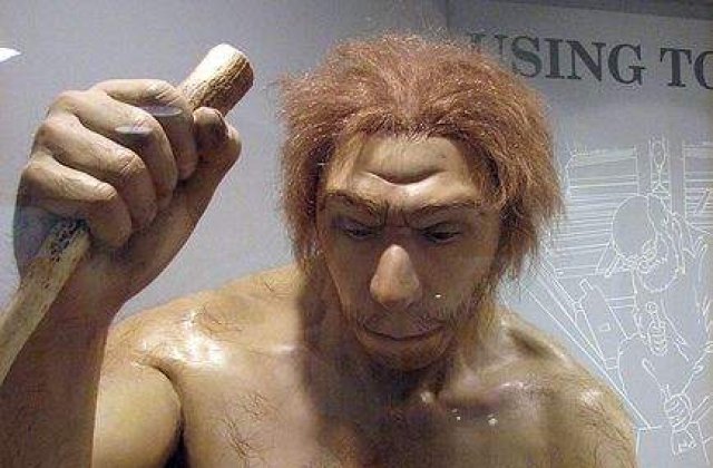 Noi descoperiri in evolutia Oamenilor de Neanderthal