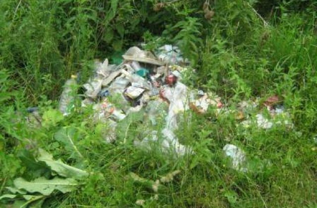 Romania, in curatenie generala