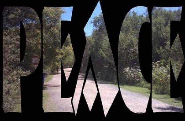 Mahmoud Abbas: Israelul trebuie sa aleaga intre pace si continuarea colonizarii