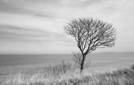  Update  Cod PORTOCALIU si cod GALBEN de vant puternic