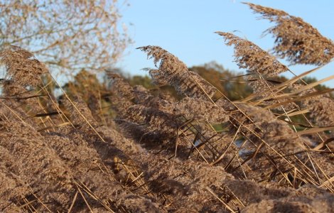  Update  Cod GALBEN de vant in sapte judete. Care sunt zonele vizate