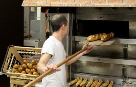 Presedinte Rompan: Ajutoarele sociale au stricat munca