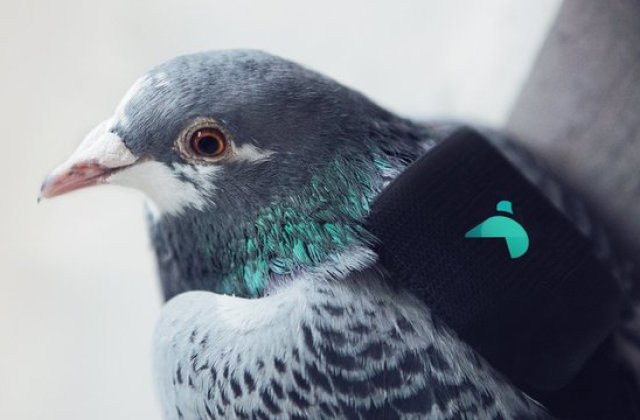 [VIDEO] Cele mai absurde inventii din 2016