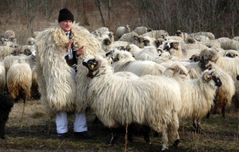 Cel mai batran angajat din Romania
