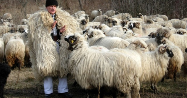 Cel mai batran angajat din Romania