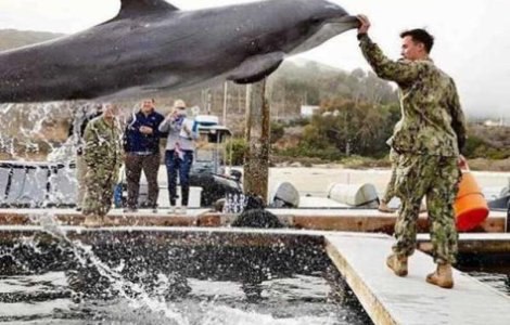  Top  10 poze geniale facute la momentul potrivit