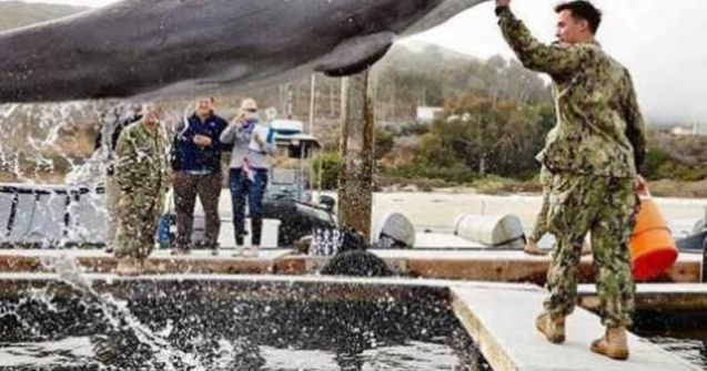  Top  10 poze geniale facute la momentul potrivit