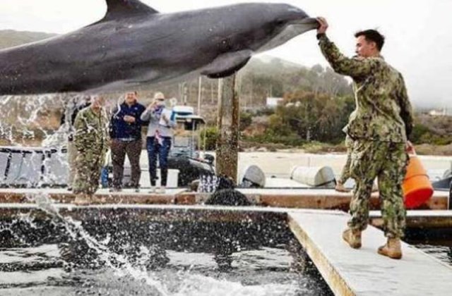 10 poze geniale facute la momentul potrivit