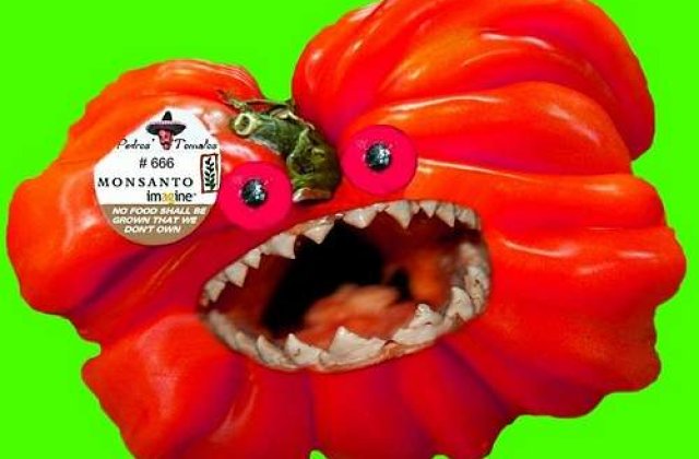 Organismele modificate genetic, "foc de paie" sau "jar" pentru UE?