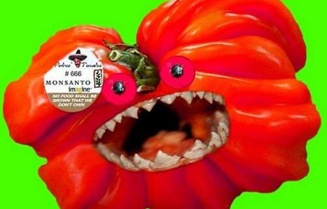 Organismele modificate genetic, "foc de paie" sau "jar" pentru UE?