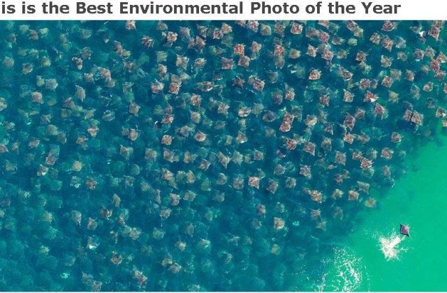 Aceasta este fotografia anului!