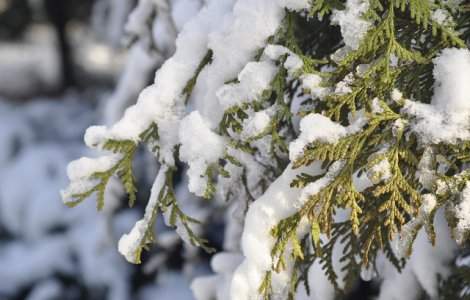 Cod GALBEN de ninsori in 15 judete. Care sunt zonele vizate
