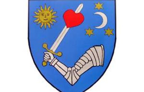 Schelet de mamut, vechi de peste 2 milioane de ani, descoperit intr-o mina din Covasna