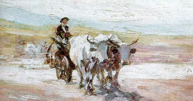  Video  "Car cu boi", vandut la licitatia casei Artmark