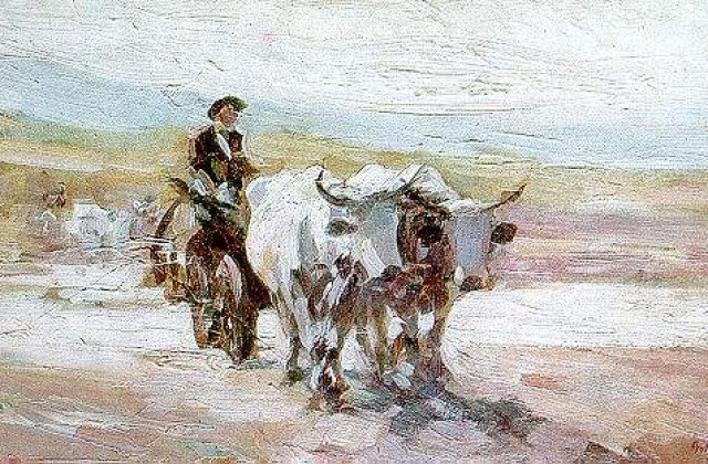 [VIDEO] "Car cu boi", vandut la licitatia casei Artmark