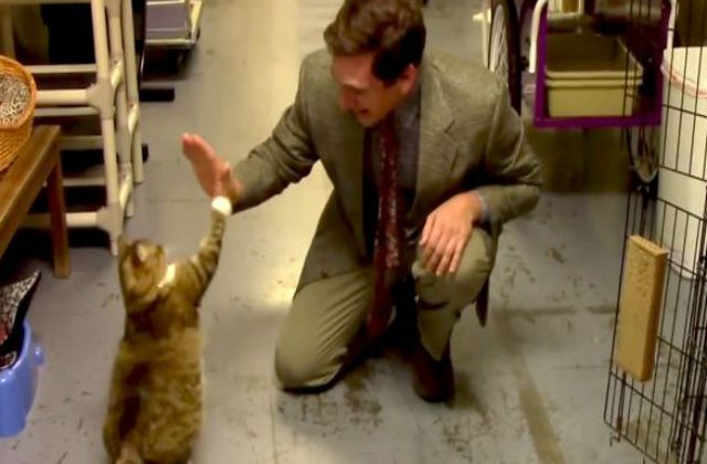 [VIDEO] Acest adapost pentru animale a creat cel mai amuzant clip de promovare