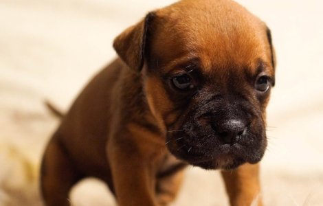 Pe 16 ianuarie va fi "cea mai deprimanta zi din 2017"