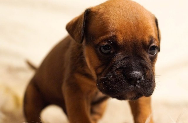 Pe 16 ianuarie va fi "cea mai deprimanta zi din 2017"