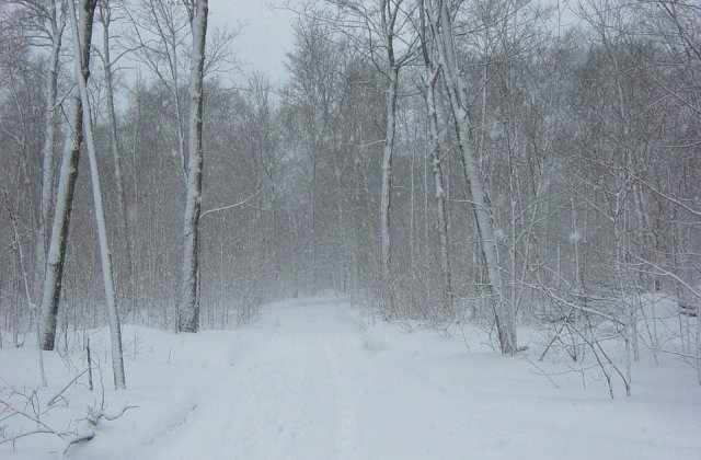 Atentionarile de vreme rea, actualizate. Fenomene meteo periculoase in 26 de judete