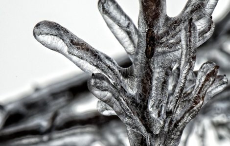 Cod GALBEN de ger in toata tara