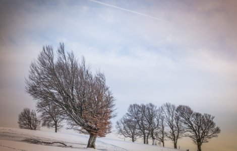 Cod GALBEN de vant in mai multe judete, pana duminica seara