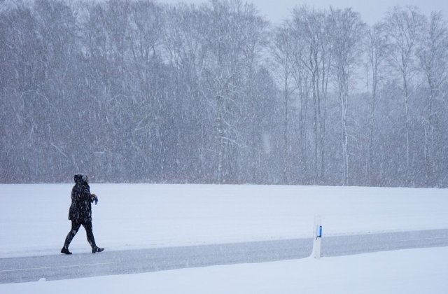 MAI: Peste 700 de persoane afectate de conditiile meteorologice au fost salvate