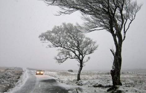 Cod GALBEN de vant in mai multe judete