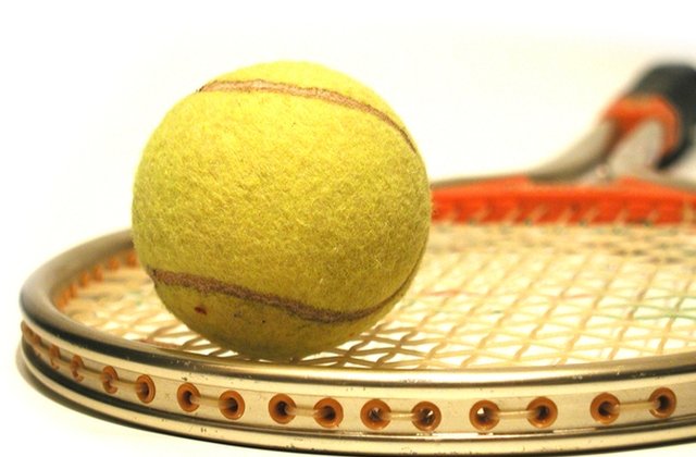 Begu, eliminata in primul tur la Sydney. Niculescu s-a calificat in turul al doilea la turneul de la Hobart