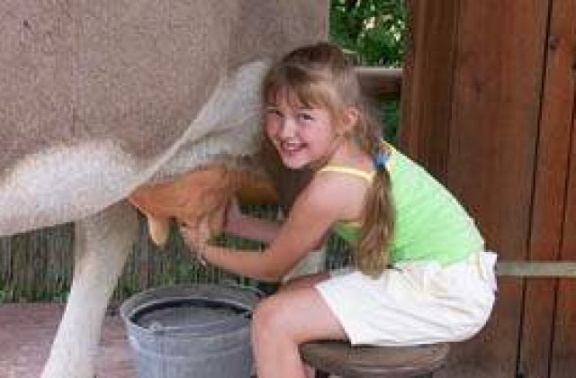 Copii condamnati 'la coada vacii'