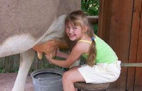 Copii condamnati 'la coada vacii'