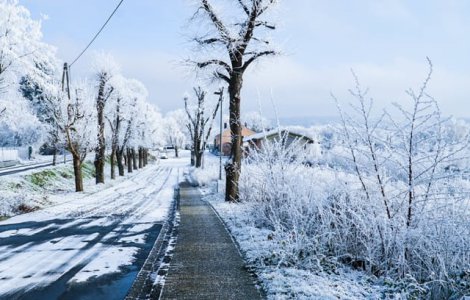 Cod PORTOCALIU de ger in Capitala si alte 36 de judete