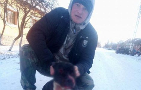 Tanar din Arad, cercetat dupa ce a pus un Pitbull sa sfasie un caine