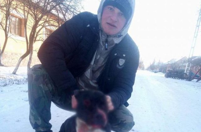 Tanar din Arad, cercetat pentru cruzimi fata de animale, dupa ce a filmat o lupta intre caini