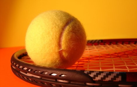 Monica Niculescu s-a calificat in sferturile probei de dublu de la Hobart