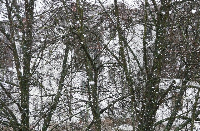 Cod GALBEN de ninsori in mai multe judete